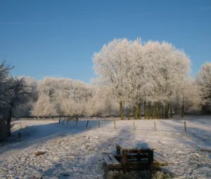 Wintersferen wandeling Foto geüpload door gebruiker import Geldersch Landschap en Kasteelen