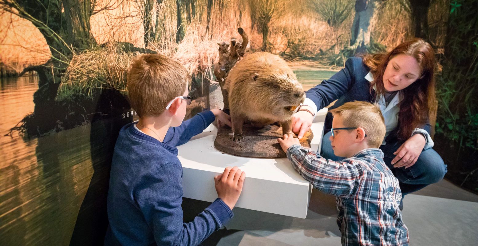 Ga op verkenningstocht op het bijzondere Biesbosch MuseumEiland. Foto: Archief Biesbosch MuseumEiland