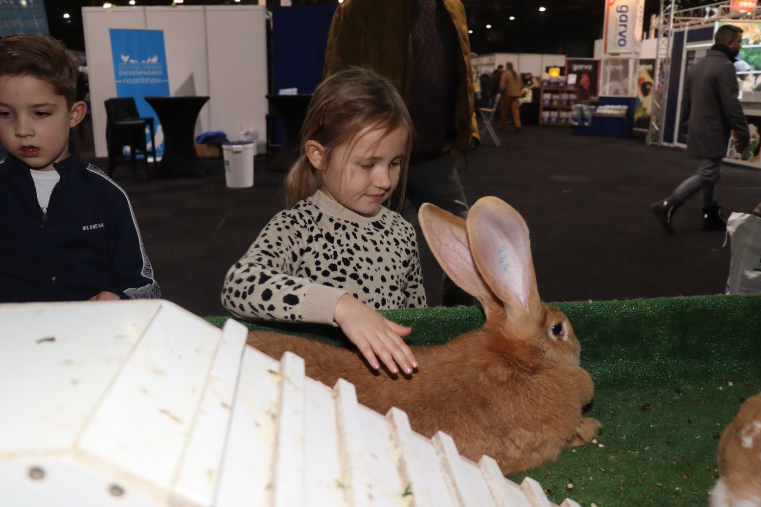 Wat een ontzettend lief konijn! Foto: Dierenparade Noordshow