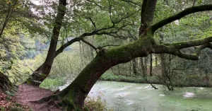 Herfstsafari langs de Regge | Foto geüpload door gebruiker Natuurmonumenten.