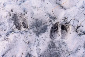 Zwerftocht  Foto geüpload door gebruiker import Geldersch Landschap en Kasteelen