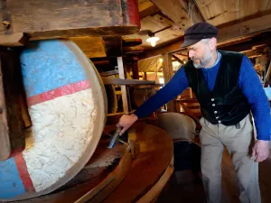 Zie de molenaars aan het werk, zoals hier bij Specerijenmolen De Huisman. Foto: Stichting de Zaanse Schans