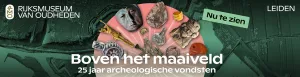 Foto: Rijksmuseum van Oudheden