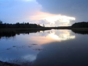 Mooie wandelroute door winterse natuur. Foto: IVN Drenthe © Jos Vink - NP gids (via persbericht)