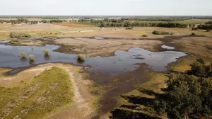 Beleef Sarsven en De Banen Foto: Limburgs Landschap Gouda | Foto geüpload door gebruiker limburgslandschap