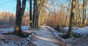 Winterse wandeling over Landgoed De Slotplaats Winterse wandeling over Landgoed De Slotplaats | Foto geüpload door gebruiker Natuurmonumenten.