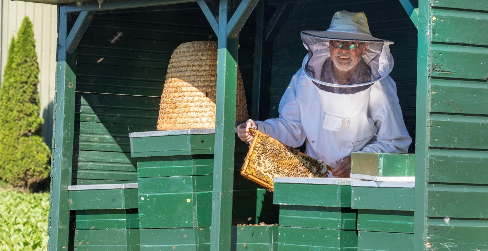 Bezoek komend weekend een bijenstad bij jou in de buurt en ontdek alles over het belang van bijen en imkers. Foto: Landelijke Open Imkerijdagen