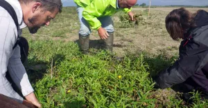 Webinar: Exoten, indringers in onze natuur Webinar: Exoten, indringers in onze natuur | Foto geüpload door gebruiker Natuurmonumenten.