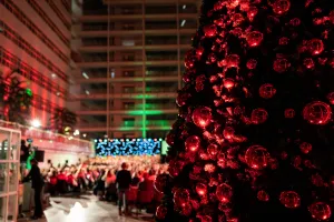 Kerst-Sing-ALong in het Atrium Gratis Livestream Foto: Kerst-Sing-ALong - Tessa Veldhorst De Schaapjesfabriek