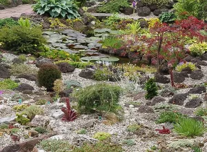 Lewisia and Rhodohypoxis World, open tuin dagen alpine tuin, foto Ap Peppelenbos eigen foto