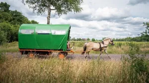 Huifkartochten zonder menner Fotograaf: Huifkarverhuur Estelle