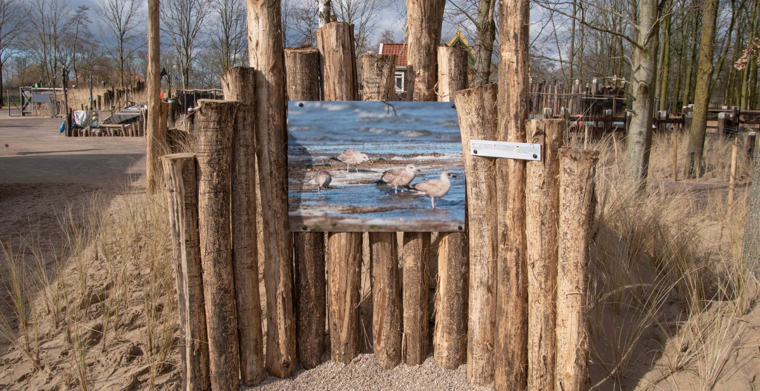 Ontdek in de waddenbelevenis meer over het leven op en rond het Wad! Foto: Dierenpark Hoenderdaell