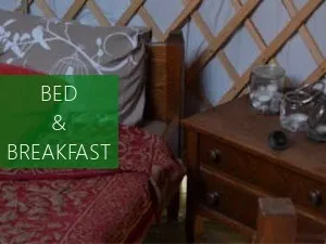 Bed & Breakfast Onder de Peperbus