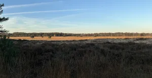 Herfstwandelingen rond Wolfheze