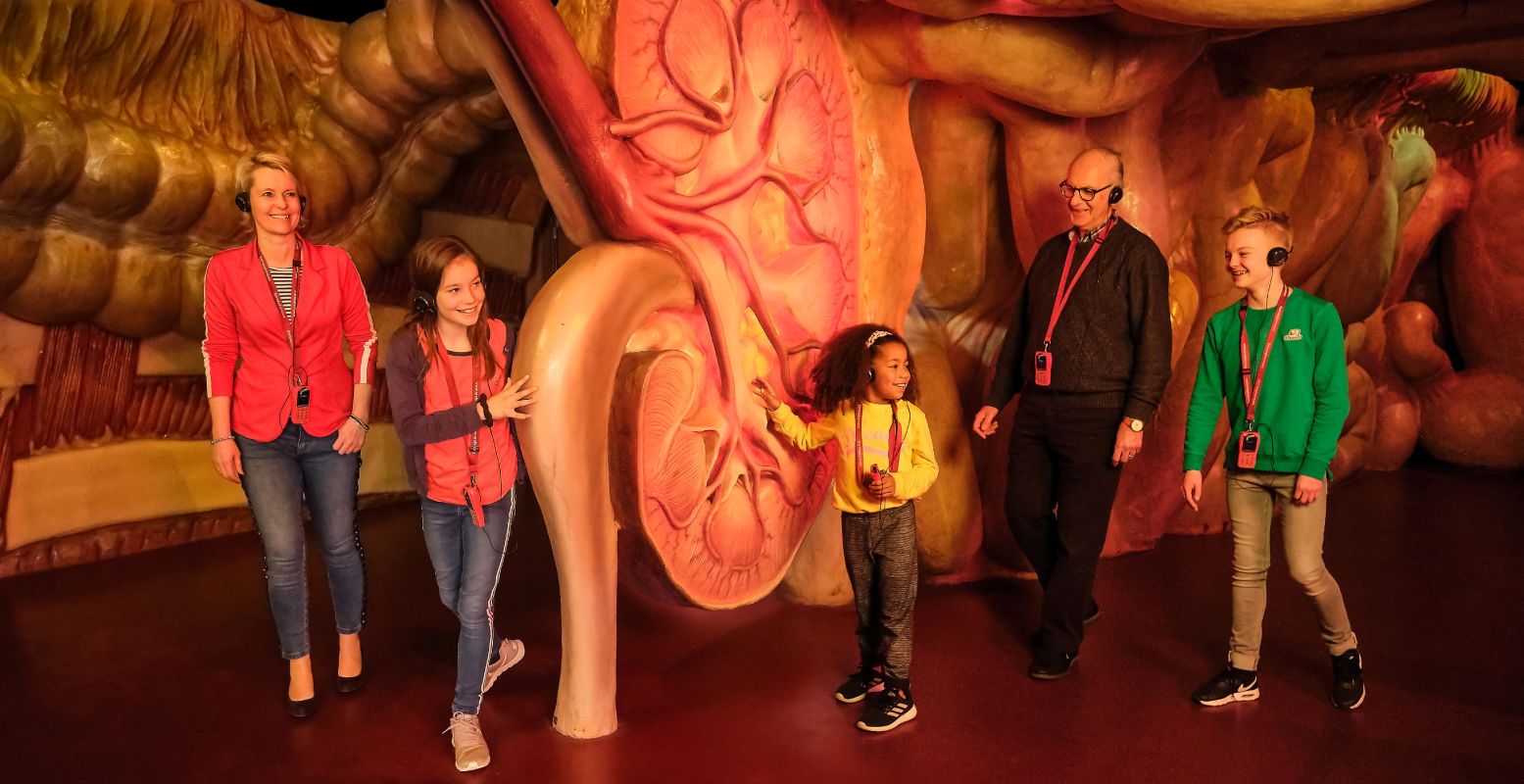 Bekijk organen van heel dichtbij in het 5D-orgaantheater. Foto: CORPUS