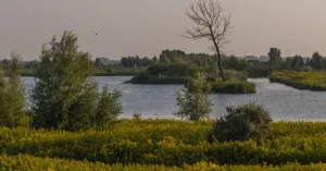 Wandeling met snert door het westen van Tiengemeten Wandeling met snert door het westen van Tiengemeten | Foto geüpload door gebruiker Natuurmonumenten.