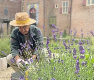 Nieuwe vrijwilligers welkom! Foto geüpload door gebruiker import Geldersch Landschap en Kasteelen