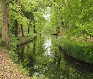 Beekdal van Staverden Foto geüpload door gebruiker Geldersch Landschap en Kasteelen