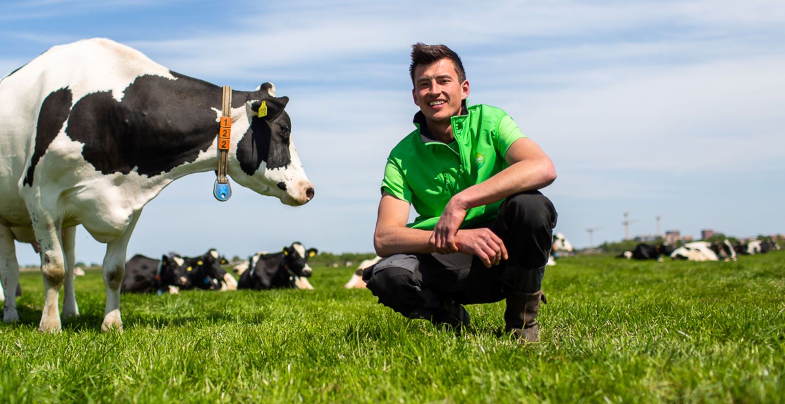 Je ziet het aan de vele koeien langs de weg: Nederland heeft een heleboel melkveehouderijen. Foto: © Campina