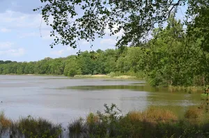 Op avontuur door het Zwart Water Foto: Limburgs Landschap Gouda | Foto geüpload door gebruiker limburgslandschap