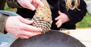 Vogel snacks maken - De Marel, Texel Vogel snacks maken - De Marel, Texel | Foto geüpload door gebruiker Natuurmonumenten.