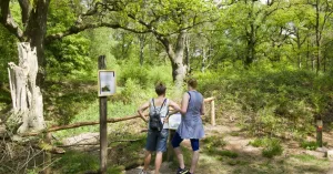 OERRR Wandelen met de boswachter - Wolfheze OERRR Wandelen met de boswachter - Wolfheze | Foto geüpload door gebruiker Natuurmonumenten.