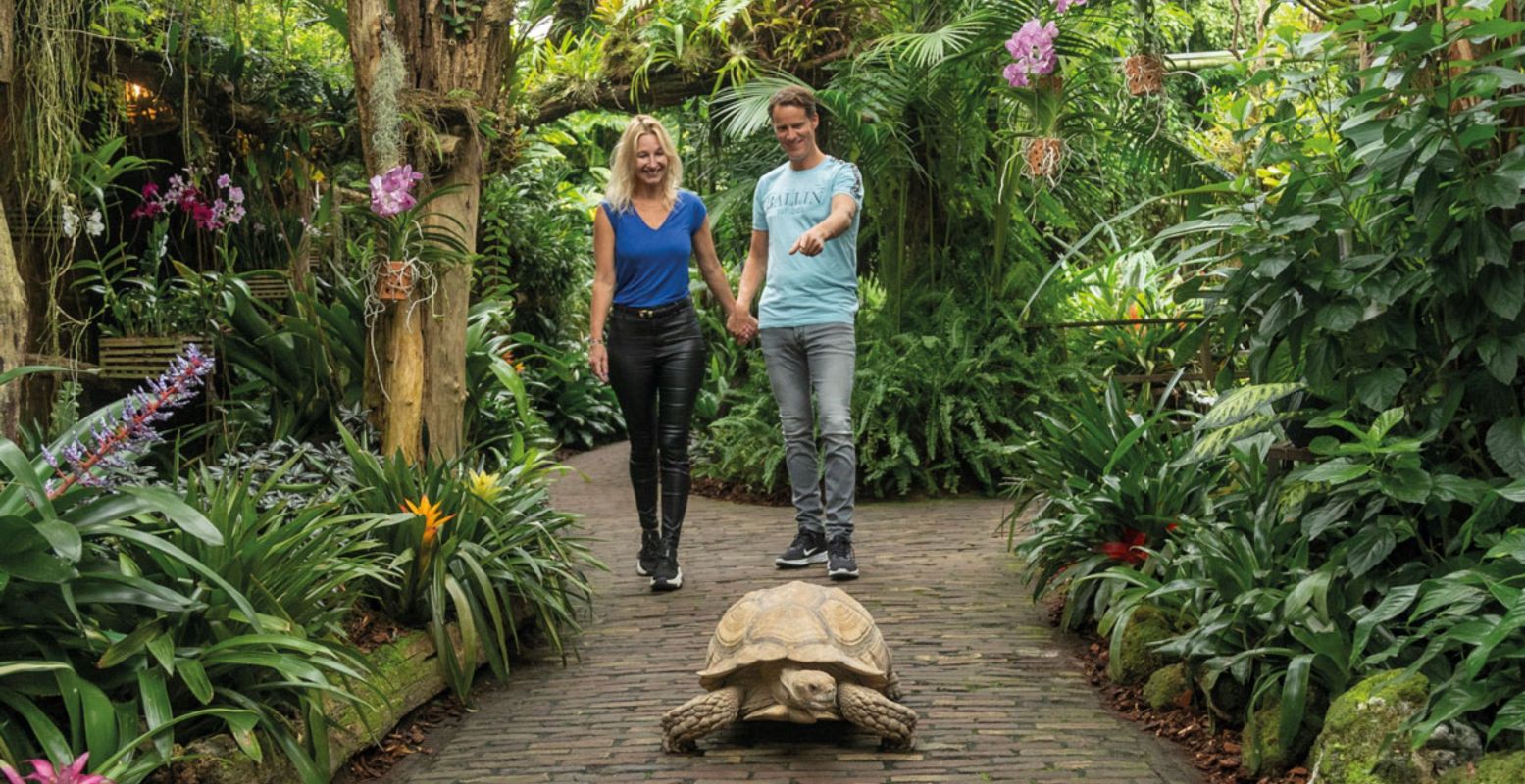 Het prachtige junglepark Pantropica was in 2024 de onbetwiste nummer 1 op DagjeWeg.NL. Foto: Pantropica