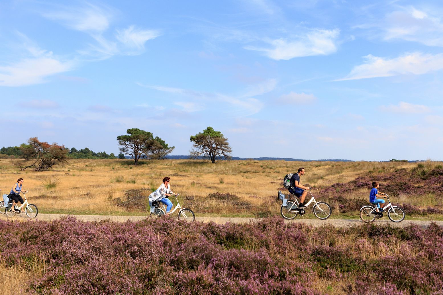 Ontdek Nationaal Park De Hoge Veluwe op de gratis witte fietsen. Wie weet spot je wel een hert. Foto: Nationale Park de Hoge Veluwe