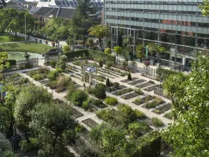 Hortus botanicus Leiden