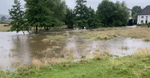 Bijeenkomst ledencommissie: 'Wat zou de natuur doen bij wateroverlast?' | Foto geüpload door gebruiker Natuurmonumenten.