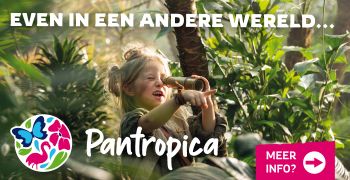 Avontuurlijke voorjaarsvakantie in Pantropica