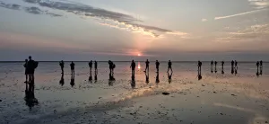 Wadlopen met Wim Spijk Foto: Wim Spijk