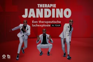 MAINSTAGE - Jandino Therapie XL Show Foto: Brabanthallen | Foto geüpload door gebruiker.