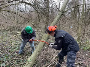 Doe mee met de Natuurwerkdag Foto: Limburgs Landschap Gouda | Foto geüpload door gebruiker.