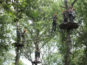 Beleef een uitdagend groepsuitje. Foto: Klimbos Overijssel