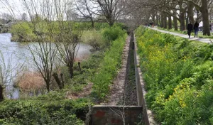 Zomervesting wandeling met gids Foto geüpload door gebruiker.