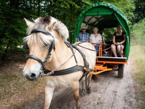 Huifkarverhuur Estelle