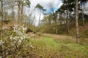 Foto: Limburgs Landschap Gouda | Foto geüpload door gebruiker limburgslandschap