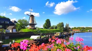 Stadswandeling | Ontdek de stad met een gids Foto geüpload door gebruiker.