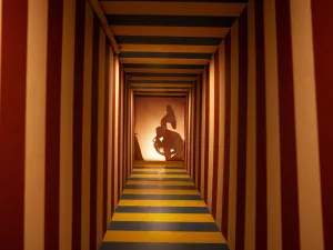 Dwaal door surrealistische gangen en ruimtes. Foto: Doloris Meta Maze © Karmanoia