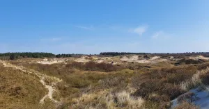 Duinwandeling tijdens de November Wandelmaand op Schiermonnikoog | Foto geüpload door gebruiker Natuurmonumenten.