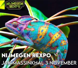 foto: Nijmegen Rexpo