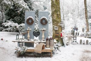 Foto: Bomenmuseum/heuvelrugmarkten.nl