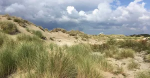 Winterse wandeling met snert door Voornes Duin | Foto geüpload door gebruiker Natuurmonumenten.