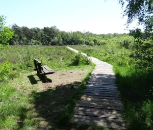 Voorjaarswandeling Foto geüpload door gebruiker Geldersch Landschap en Kasteelen