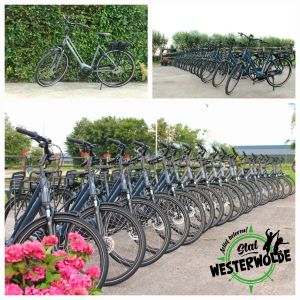 Fietsverhuur Westerwolde