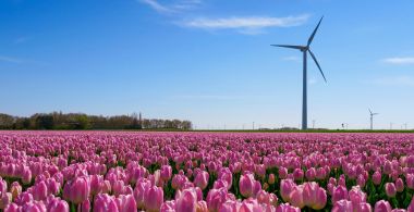 DW Awards: uitmuntende uitjes uit Flevoland